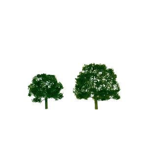 JTT Scenery Walnut 5' Prem O 1pk