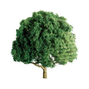 JTT Scenery Oak 3' Pro 2pk