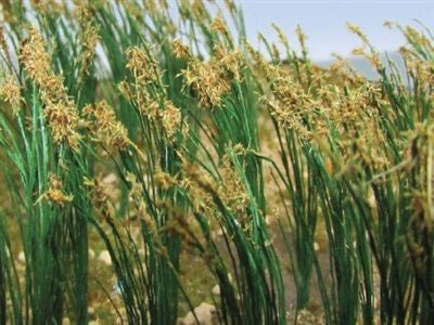 JTT Scenery Reeds 2''