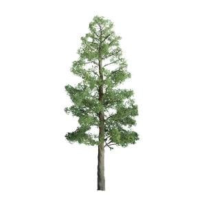 JTT Scenery Pine 8' Pro 1pk