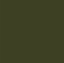 AK Interactive 3G No9 Olive Drab (FS33070)
