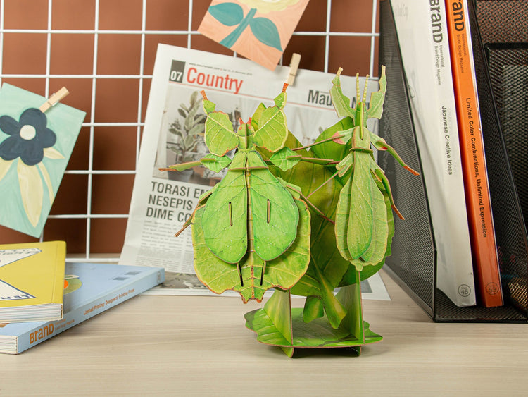Make Bug Leaf Insect 3D Puzzle, Bring Nature Home