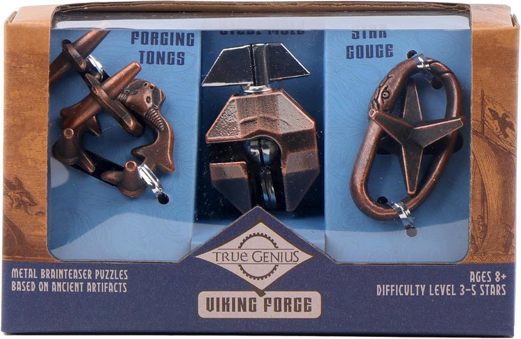 Project Genius Viking Forge