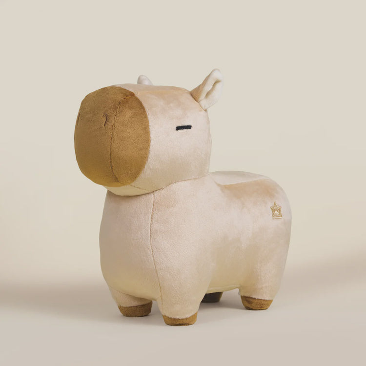 Bellzi Cappi the Capybara