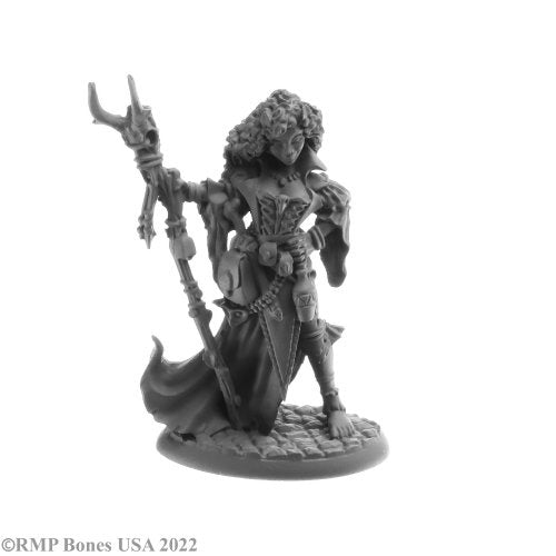 Reaper Miniatures Legends: Andowyn Thrushmoor