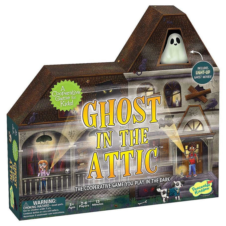 Mindware Ghost in the Attic Cooperative Game