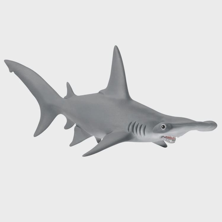 Schleich Hammerhead Shark | SCK14835
